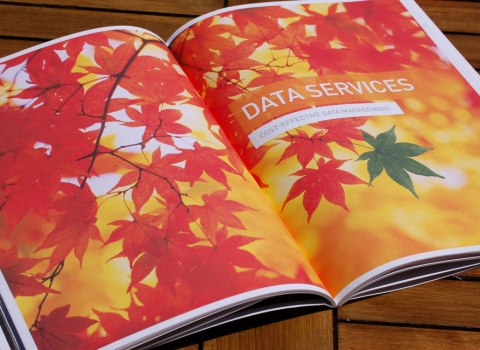 InTechnology Corporate Brochure